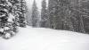 125 - 20170228 Aspen Snowmass