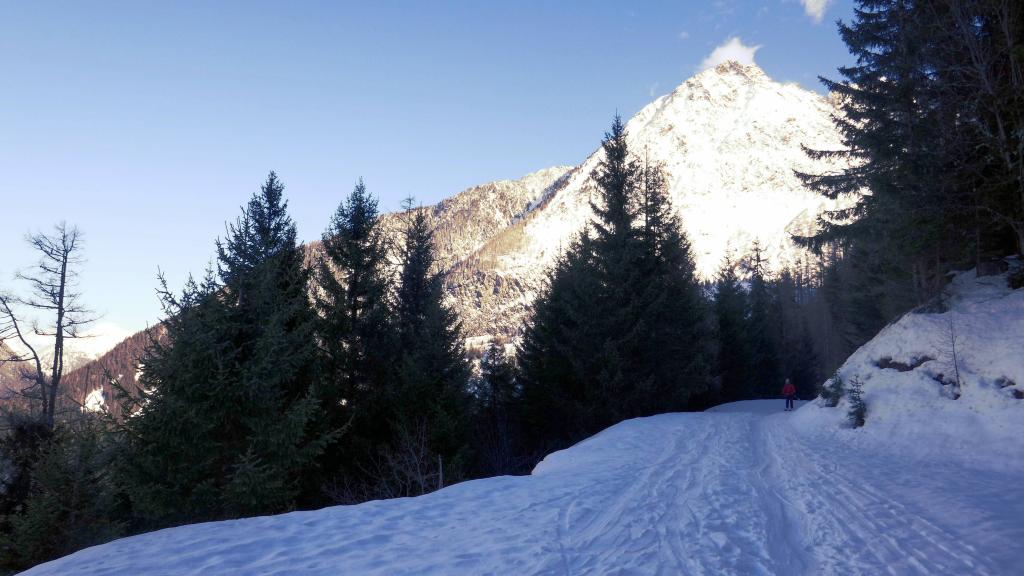 247 - 20180112 Chamonix Vallee Blanche