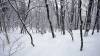 316 - 20190214 Mt Tremblant Day3