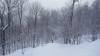 319 - 20190214 Mt Tremblant Day3