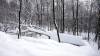 320 - 20190214 Mt Tremblant Day3