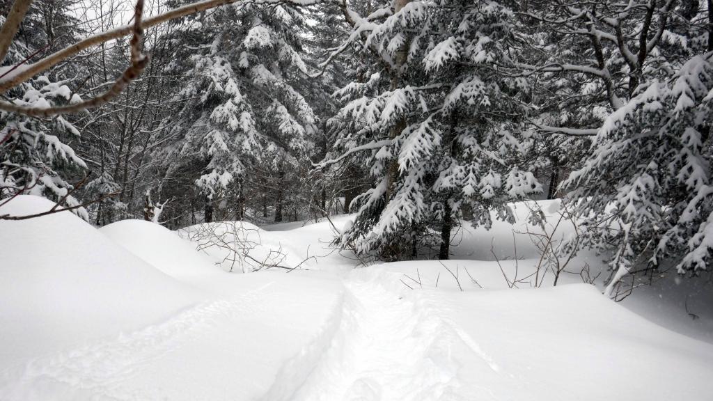 217 - 20190213 Mt Tremblant Day2