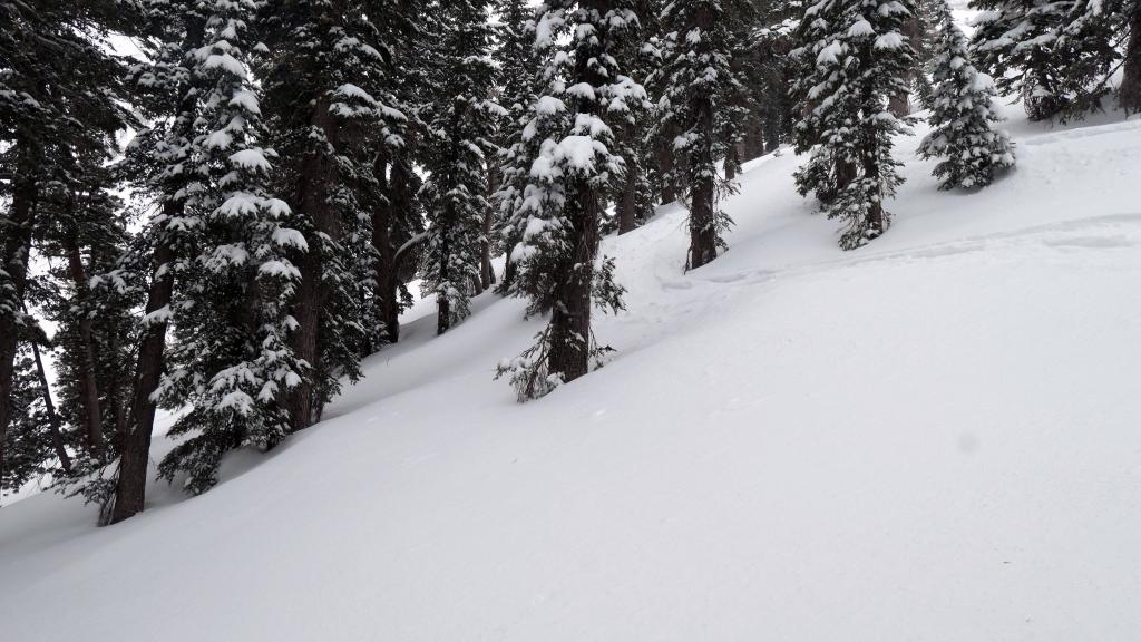 118 - 20200301 Kirkwood