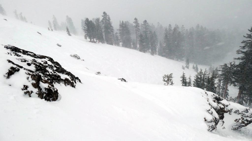 136 - 20210126 Kirkwood