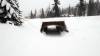 2052 - 20210214 Canyons Park City