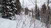 2063 - 20210214 Canyons Park City