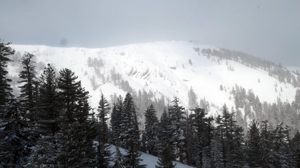 129 - 20210314 Kirkwood