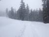 3118 - 20240229 Kirkwood 8ft Storm Day3 Half Day