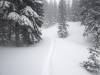 3120 - 20240229 Kirkwood 8ft Storm Day3 Half Day