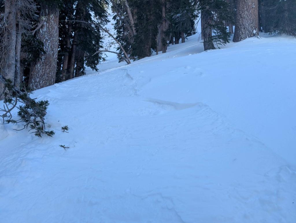 127 - 20250204 Kirkwood