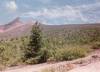 501 - Hakodate Mountain Climb