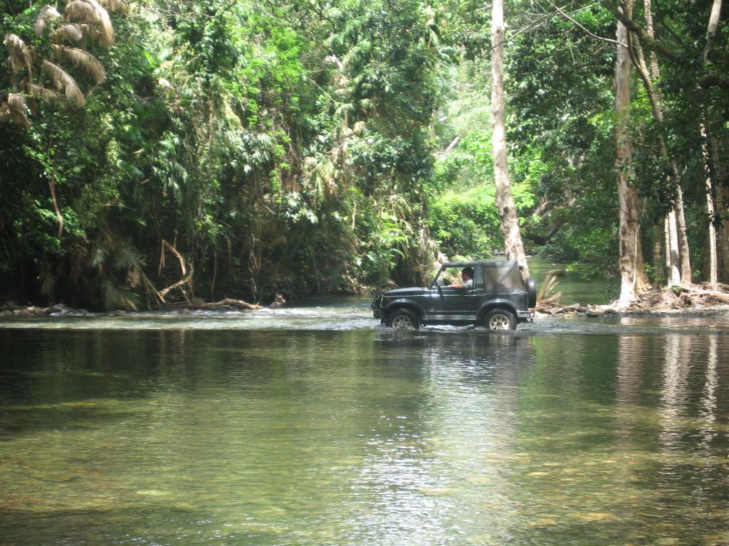 400 - DraintreeRiver Rainforest-463 River