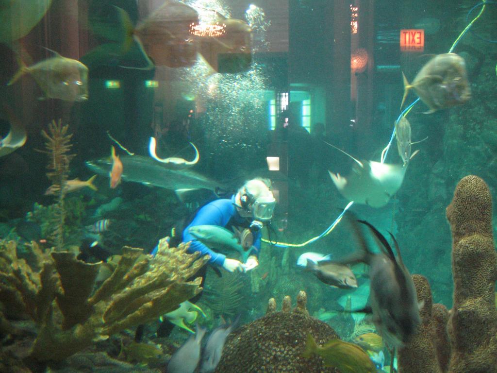 738 - John Shedd Aquarium