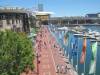 205 - DarlingHarbour
