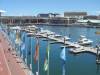 206 - DarlingHarbour