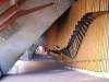 472 - InsideOperaHouse