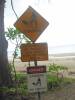 306 - Cape Tribulation