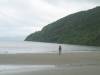 310 - Cape Tribulation