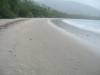 319 - Cape Tribulation