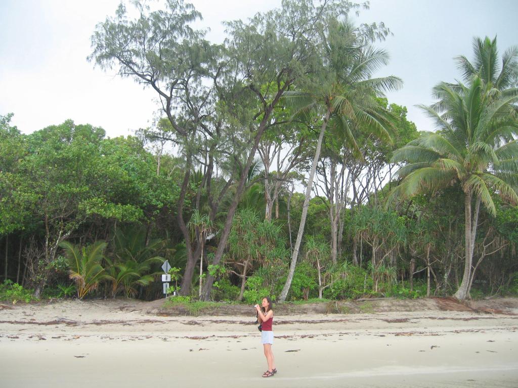 309 - Cape Tribulation