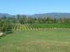 301 - Yarra Wine Country