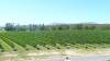 302 - Yarra Wine Country