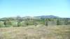 304 - Yarra Wine Country