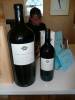 310 - Yarra Wine Country