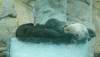 201 - Seaworld