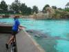 203 - Seaworld