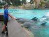 204 - Seaworld