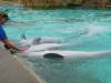 205 - Seaworld