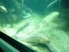 216 - Seaworld