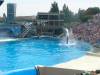 219 - Seaworld