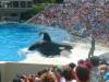 220 - Seaworld