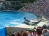 228 - Seaworld