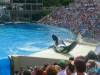 229 - Seaworld