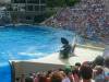 230 - Seaworld
