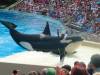 239 - Seaworld