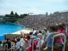 241 - Seaworld