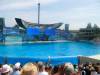 242 - Seaworld