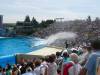 243 - Seaworld