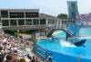 244 - Seaworld