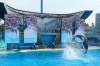 246 - Seaworld