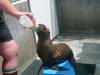 256 - Seaworld