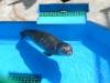 257 - Seaworld