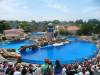 263 - Seaworld