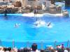 264 - Seaworld