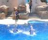 266 - Seaworld