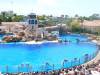 268 - Seaworld